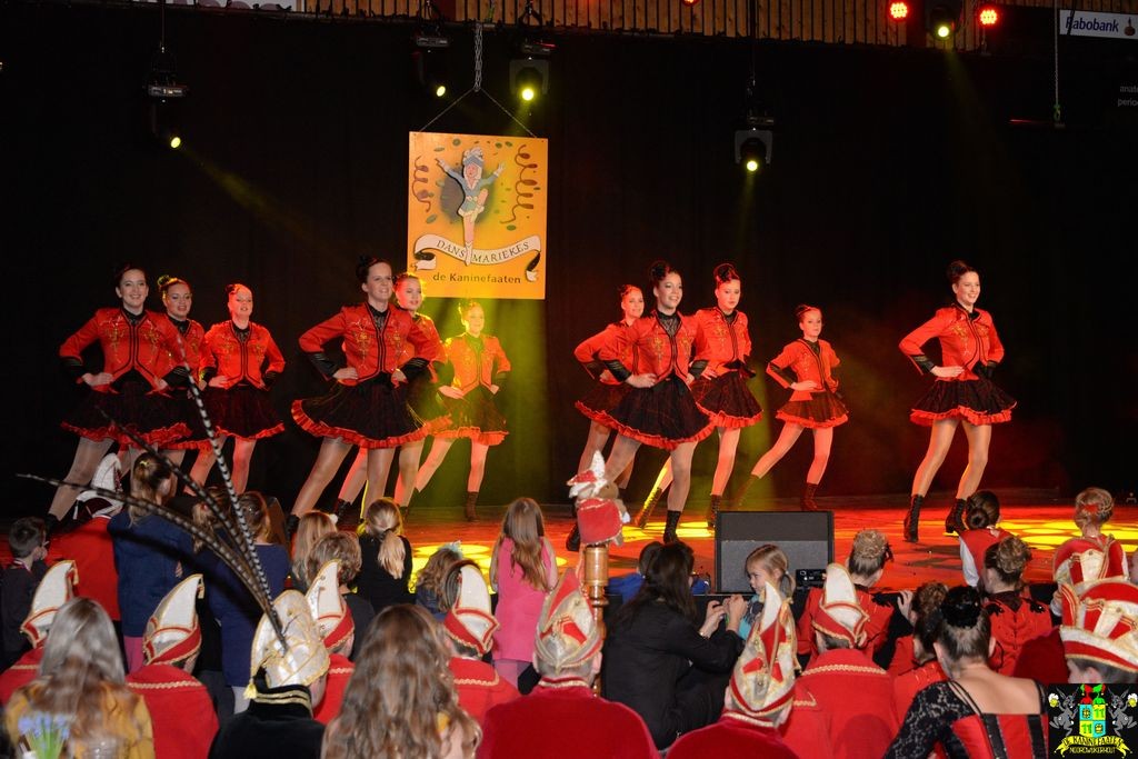 ../Images/Dansmarieke festival 2018 209.jpg